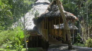 Safe and Sacred: Choosing the Right Ayahuasca Retreat for Your Journey