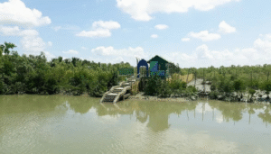 Explore the Enchanting Wilderness: A Sundarban Tour Operator’s Guide to Your Dream Trip
