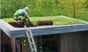 Greener Roofs for Calgary Homes: Recycled Rubber, Metal, and the Real Eco Options